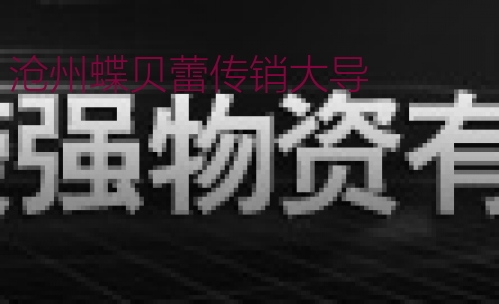 沧州蝶贝蕾传销大导